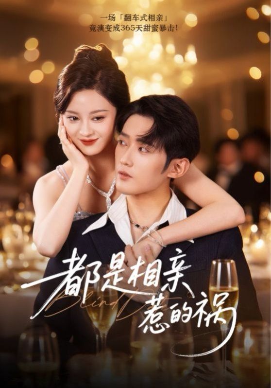 都是相亲惹的祸海报