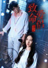 致命爱侣海报