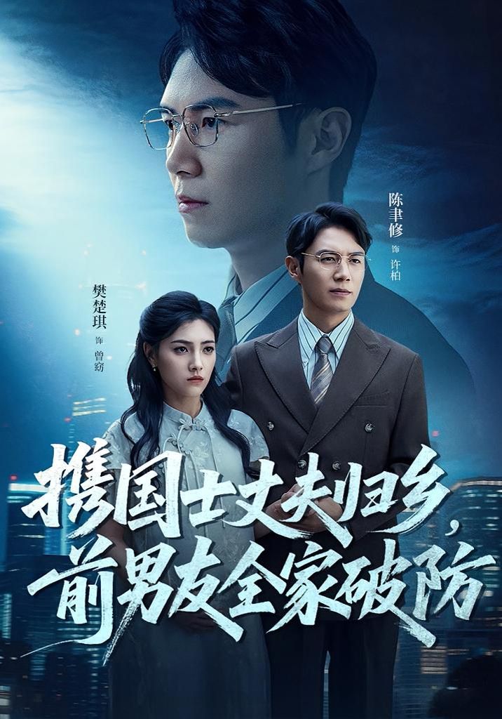 携国士丈夫归乡前男友全家破防海报