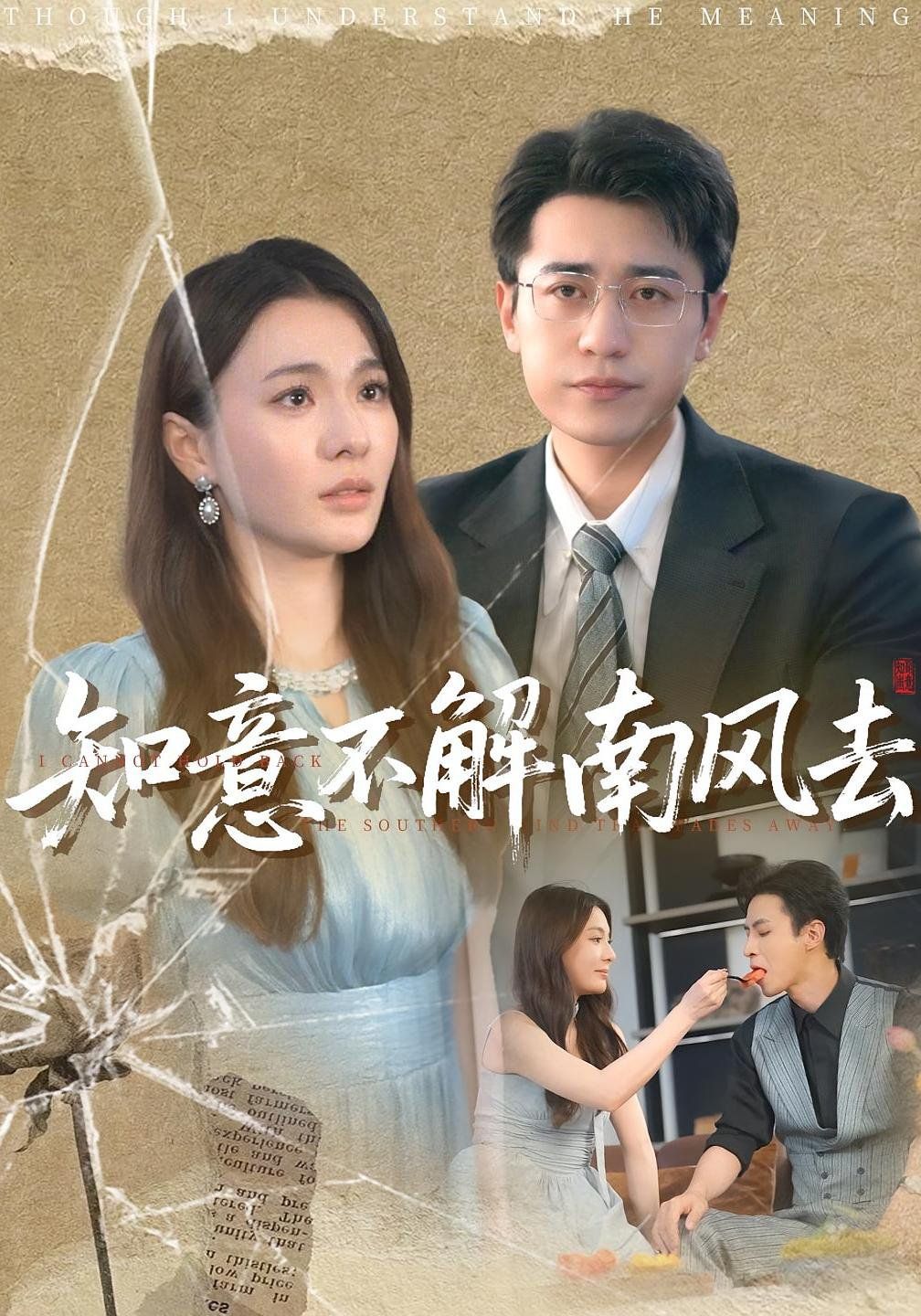 知意不解南风去海报