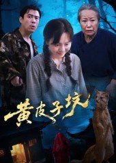 黄皮子坟海报