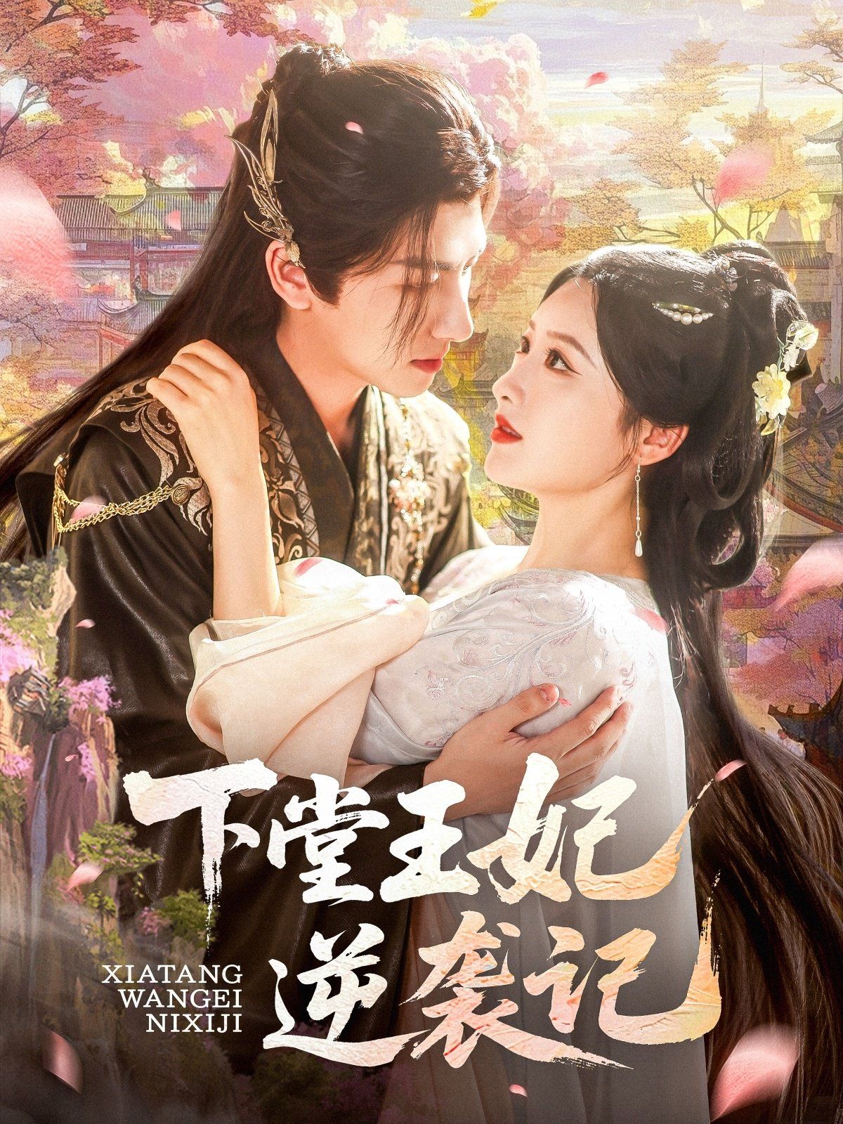 下堂王妃逆袭记海报