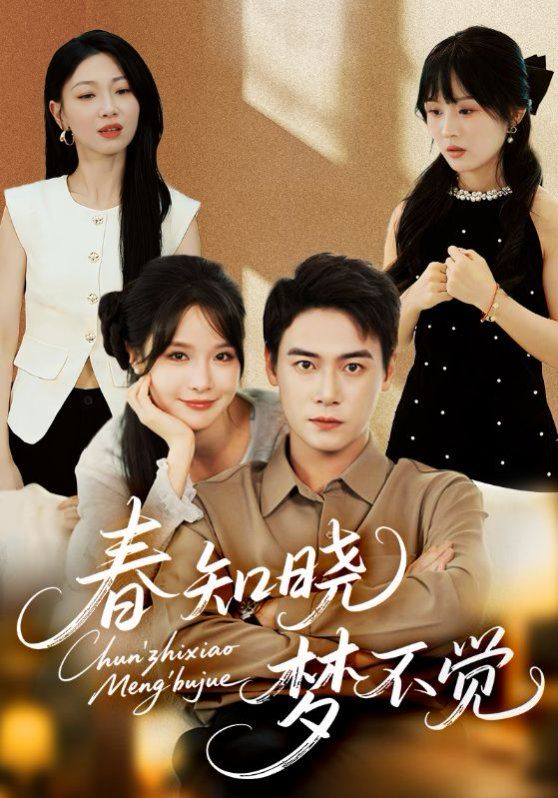 春知晓梦不觉海报