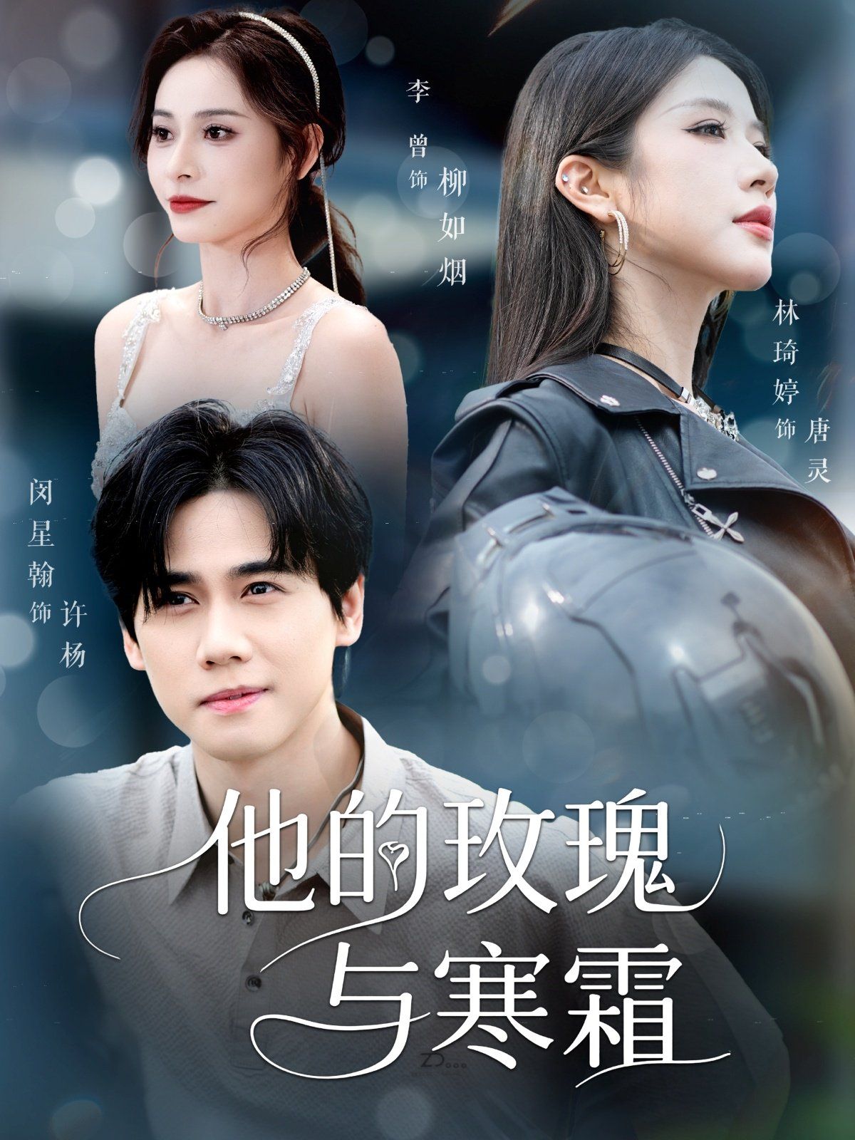 他的玫瑰与寒霜海报