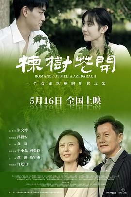 楝树花开