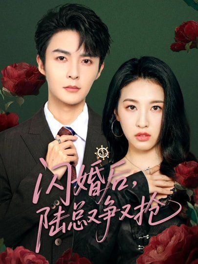 闪婚后陆总又争又抢海报