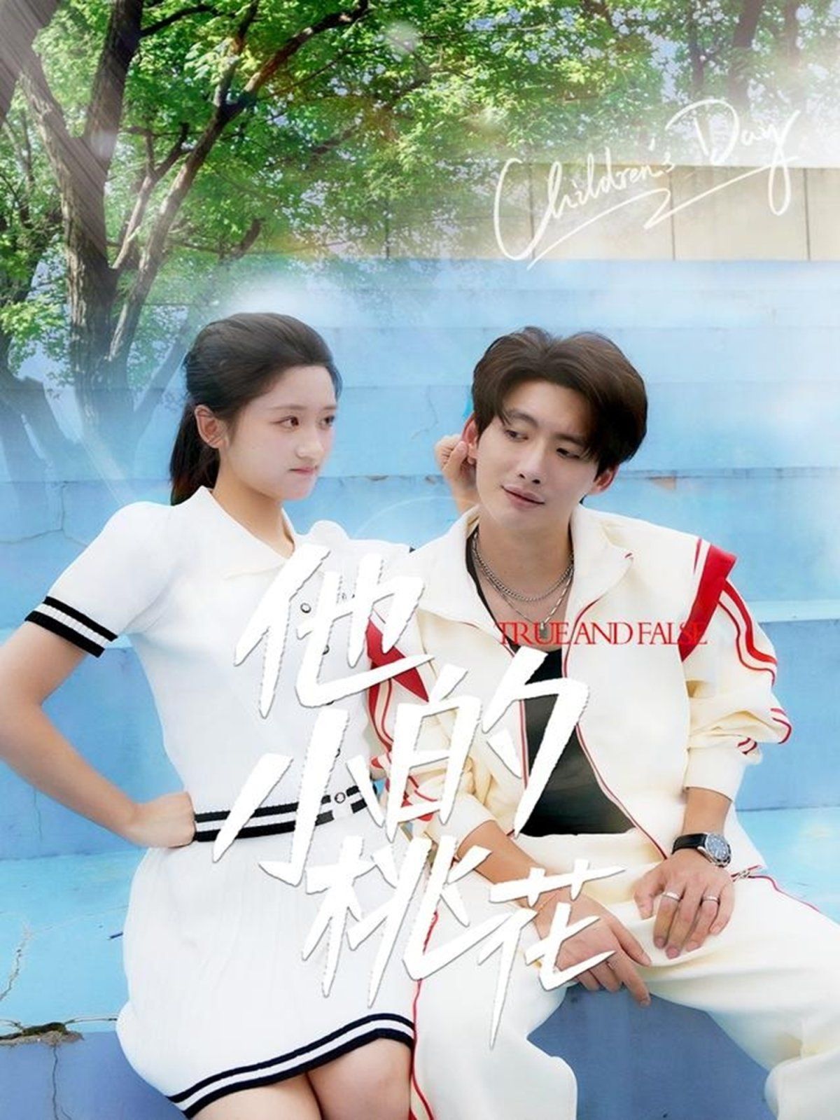 他的小桃花海报