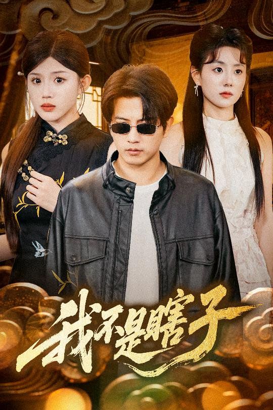 我不是瞎子海报