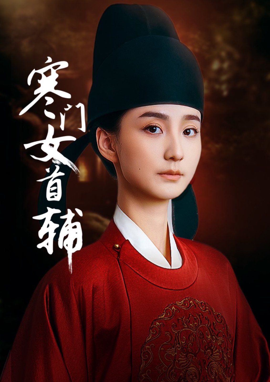 寒门女首辅海报