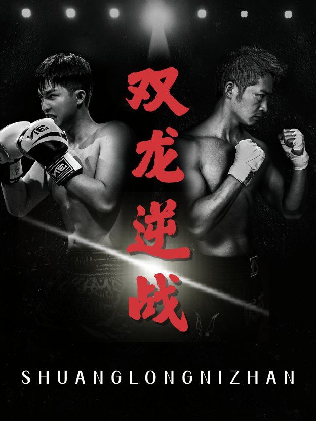 双龙逆战（拳王之父子双龙）海报