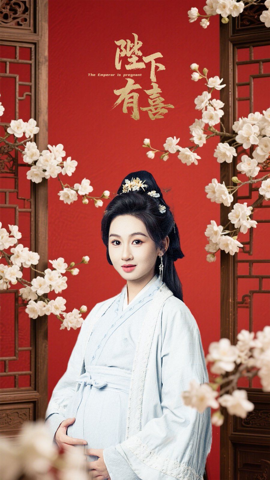 陛下有喜海报