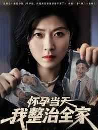 怀孕当天我整治全家海报