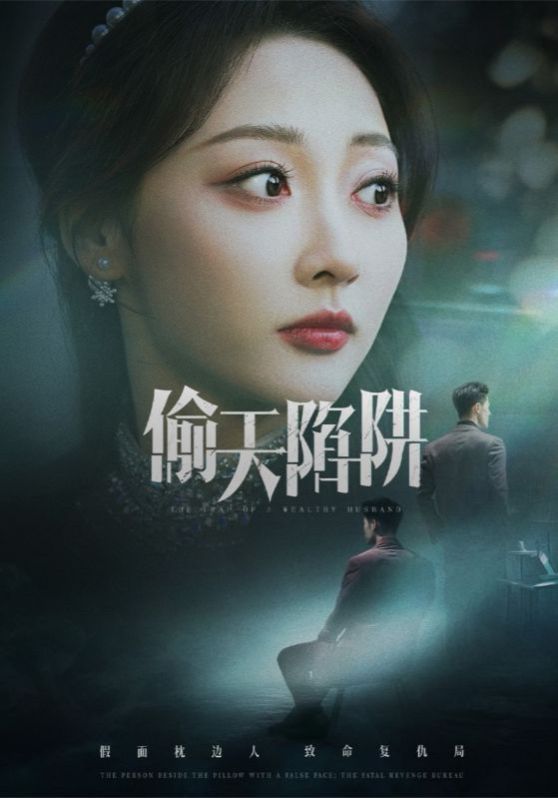 偷天陷阱海报