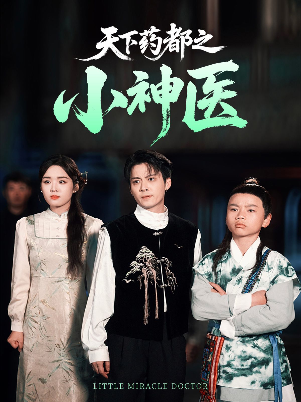 天下药都之小神医海报