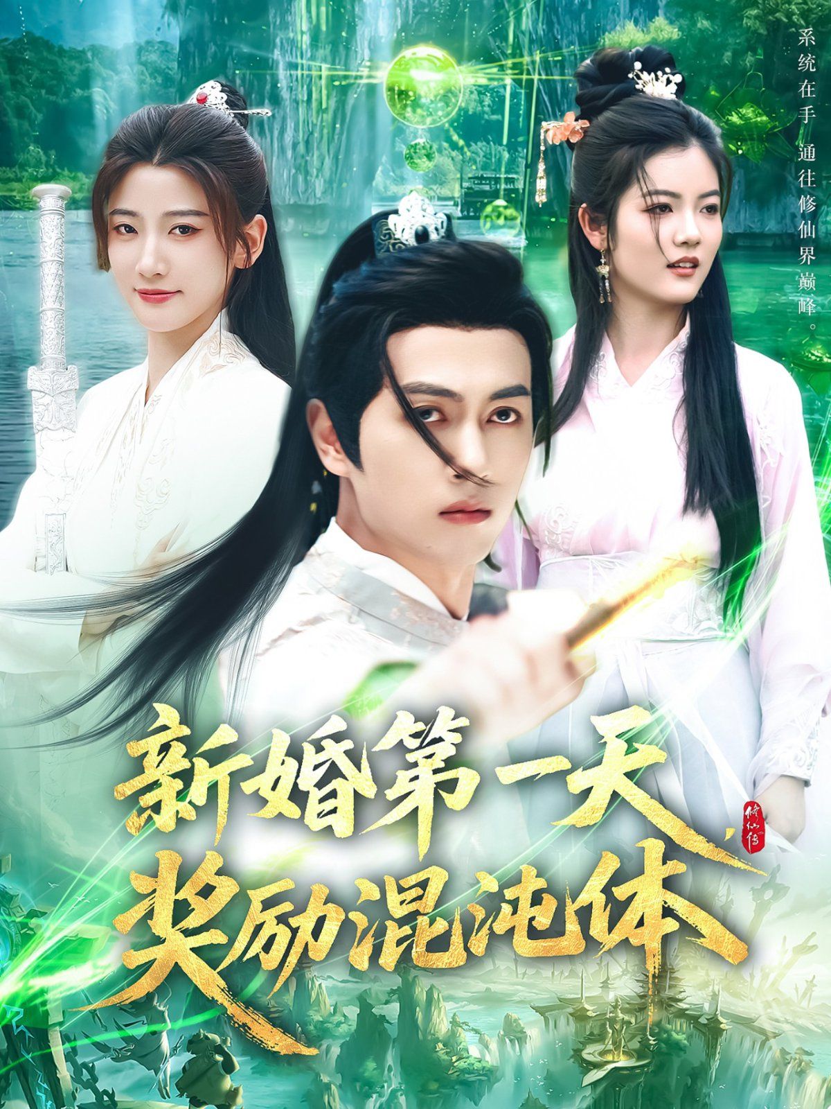 新婚第一天奖励混沌体海报