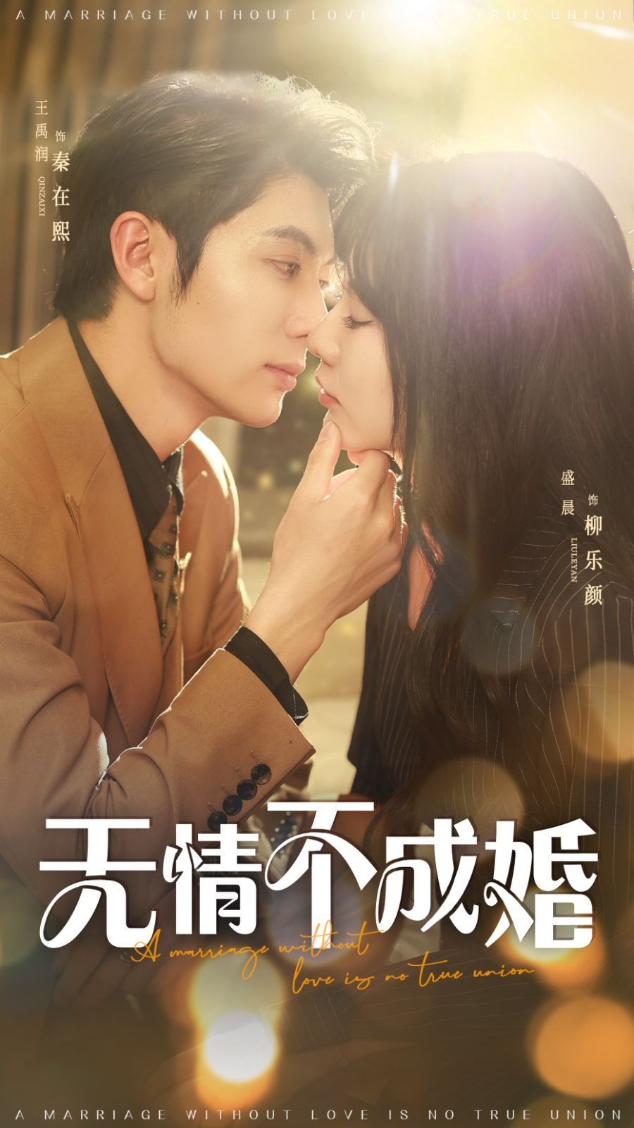 无情不成婚海报