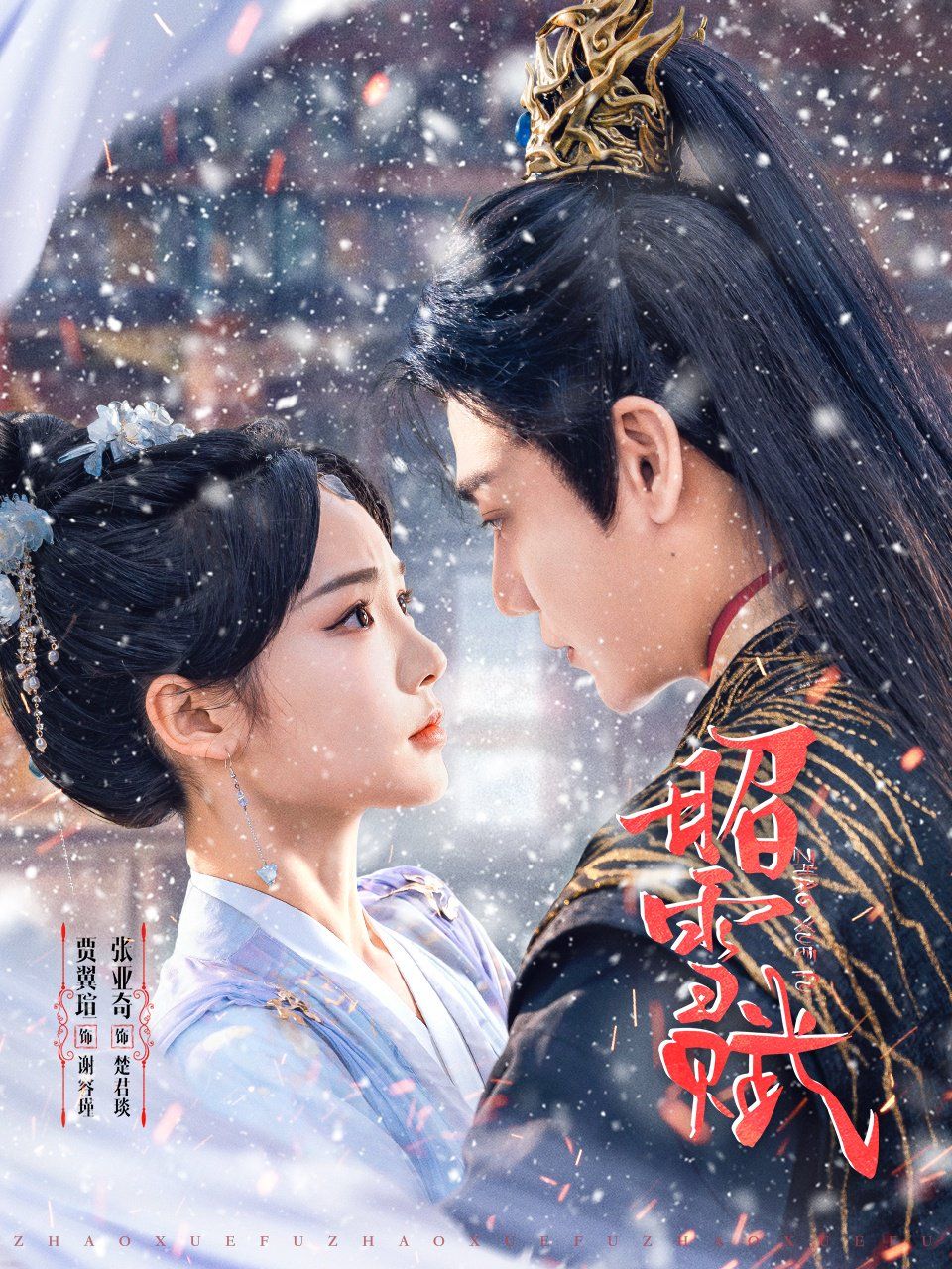 昭雪赋海报