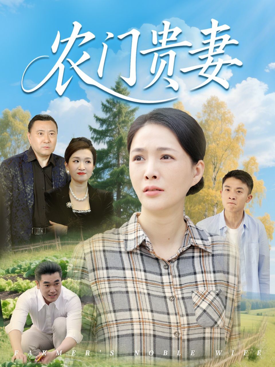 农门贵妻海报