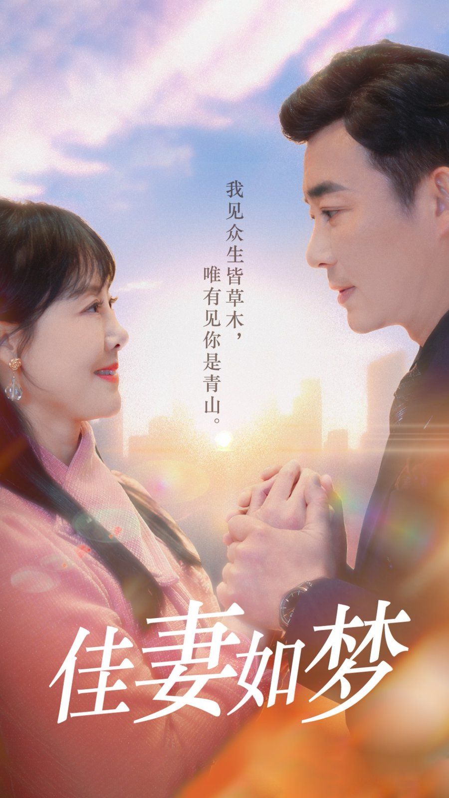 新佳妻如梦海报