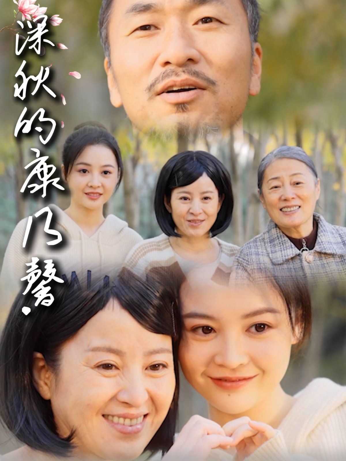 深秋的康乃馨海报