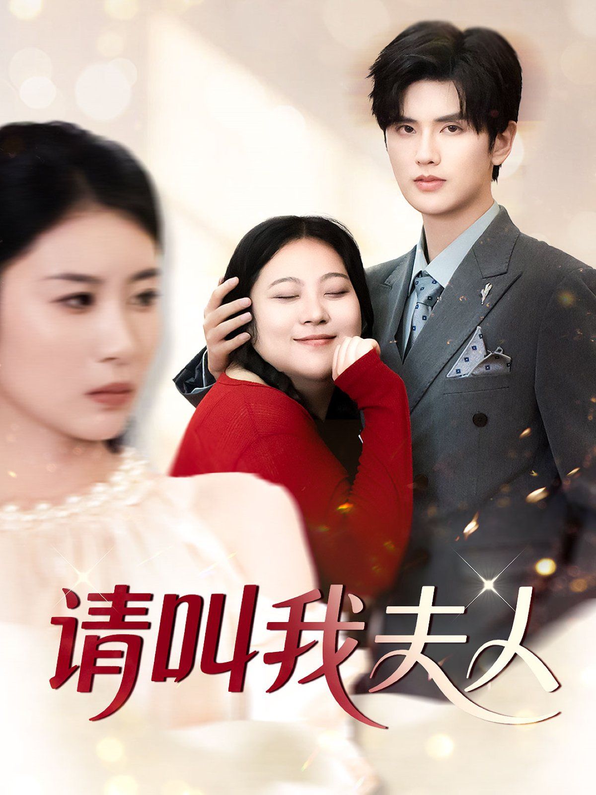 请叫我夫人海报