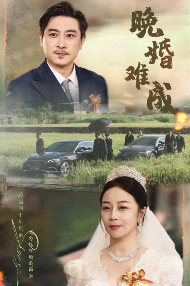 晚婚难成海报