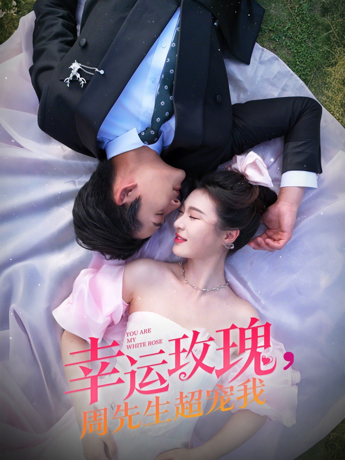 幸运玫瑰周先生超宠我海报