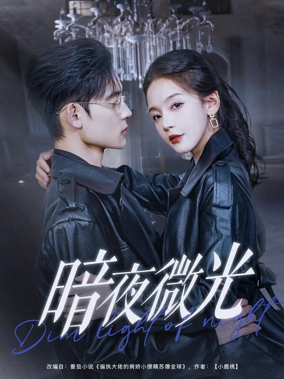 暗夜微光海报