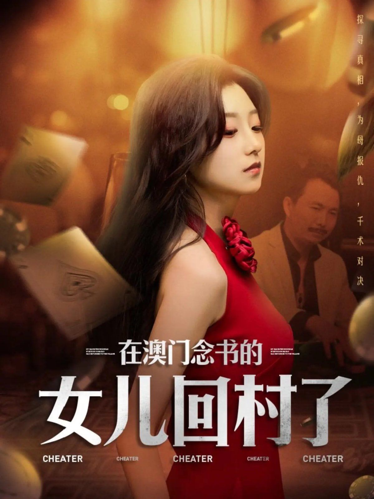 在澳门念书的女儿回村了海报