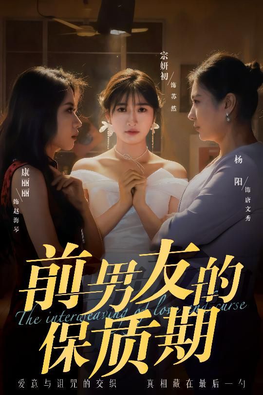 前男友的保质期海报