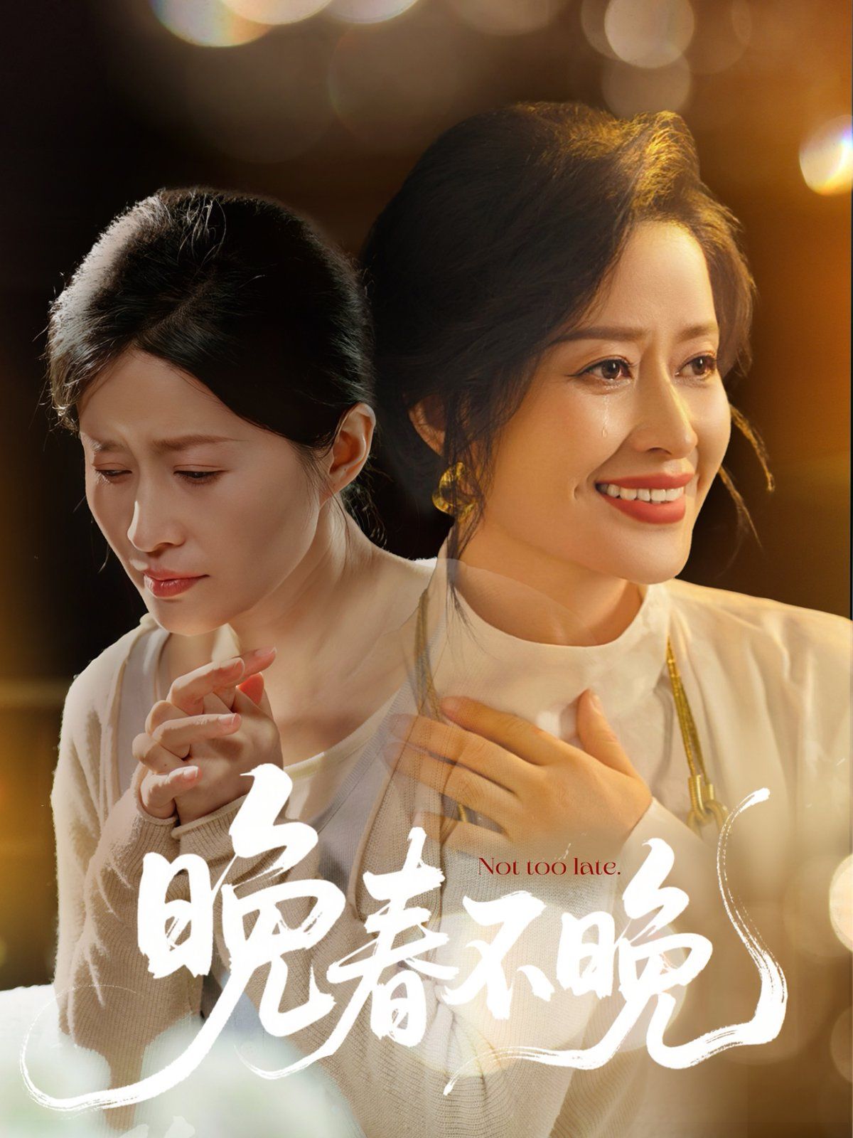 晚春不晚海报