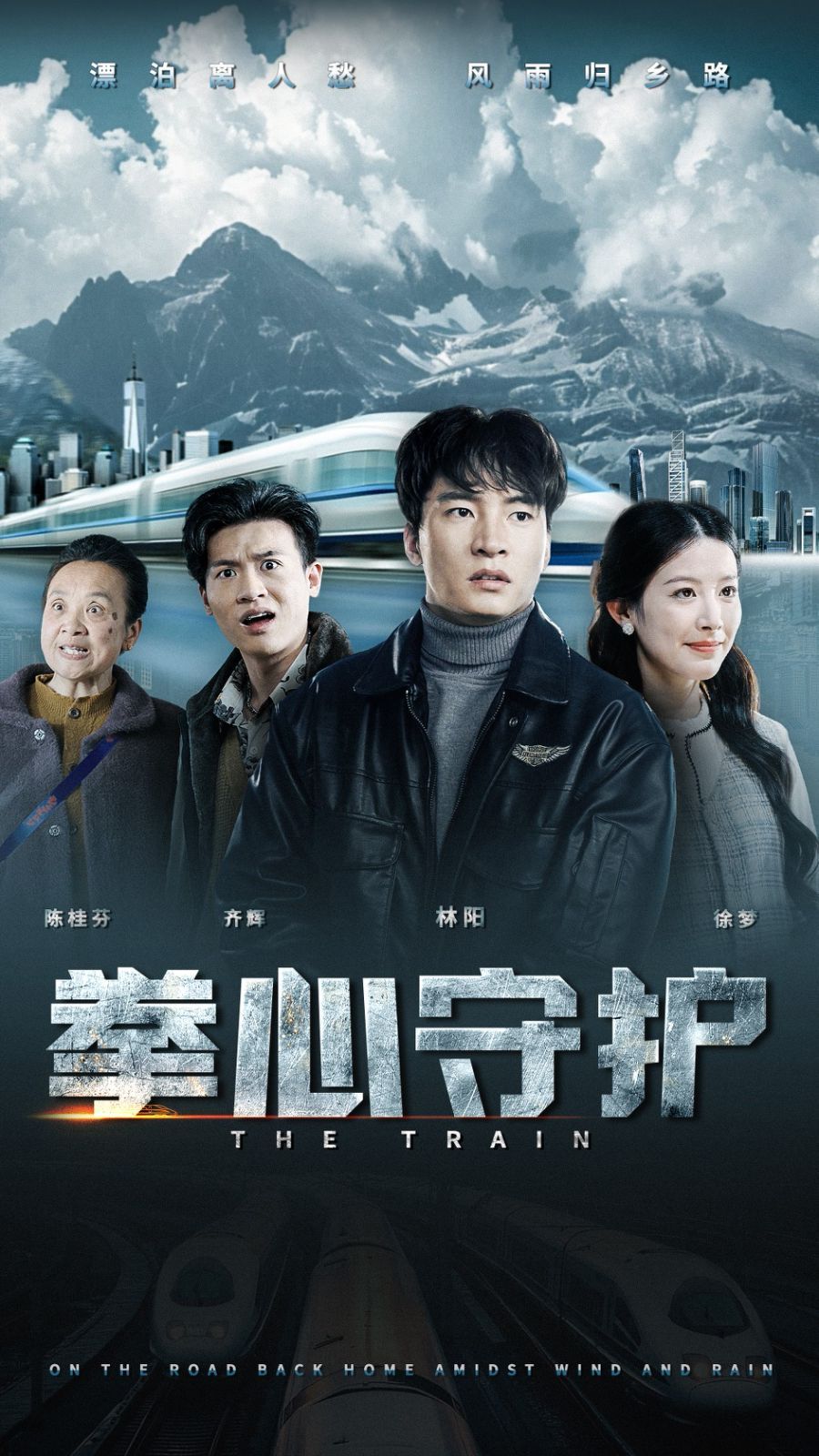 拳心守护海报