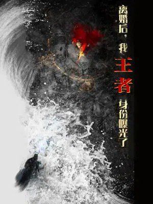 离婚后，我王者身份曝光了（离婚后我王者身份曝光了）海报