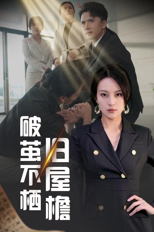 破茧不栖旧屋檐海报