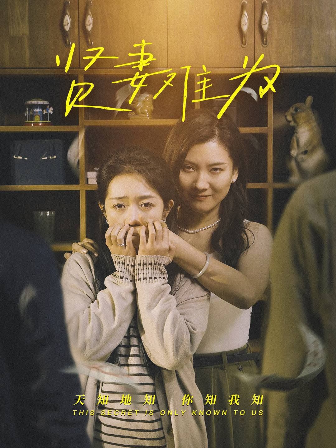 贤妻难为海报