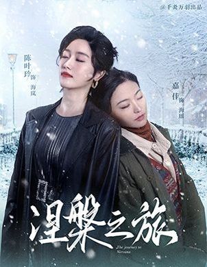 涅槃之旅海报