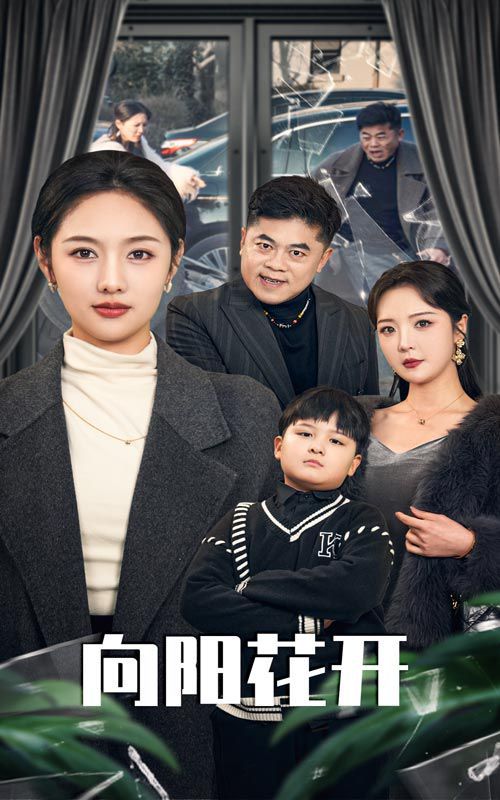 溺爱的代价(向阳花开)海报