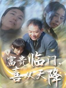 富贵临门喜从天降海报