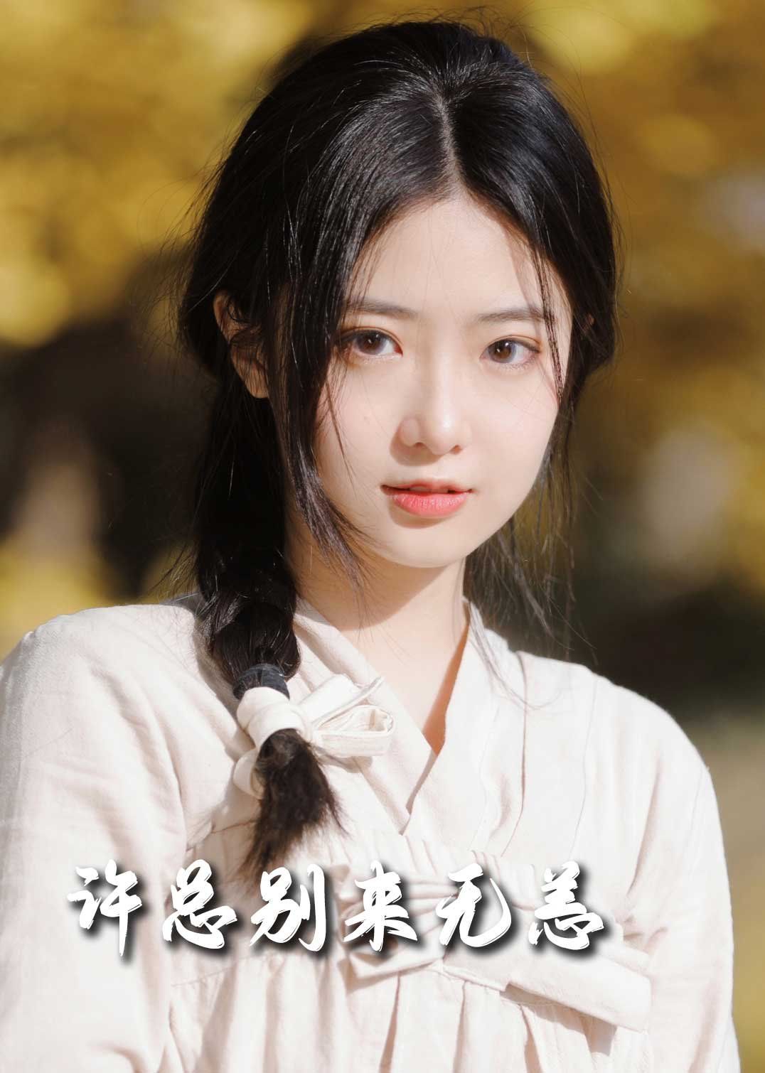 新许总别来无恙海报