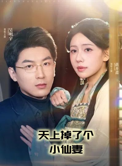 天上掉了个小仙妻(天上掉下个小仙女)海报
