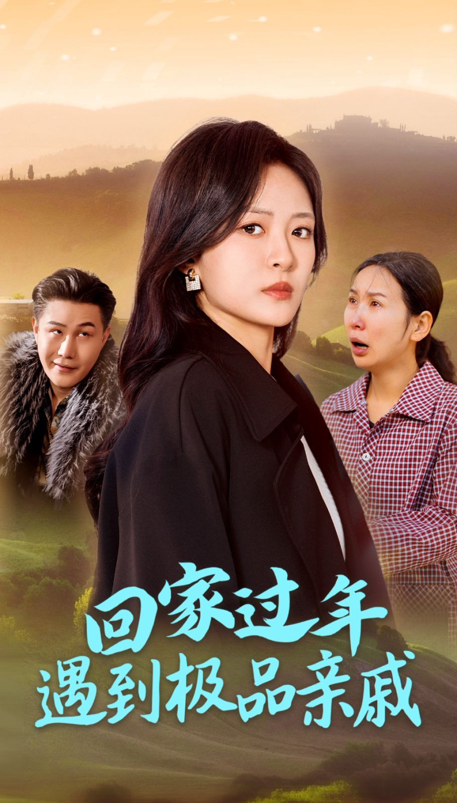 回家过年遇到极品亲戚海报