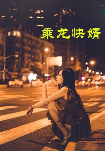 乘龙快婿海报
