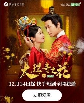 大理寺之花海报