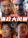 追龙番外篇之廉政大风暴海报