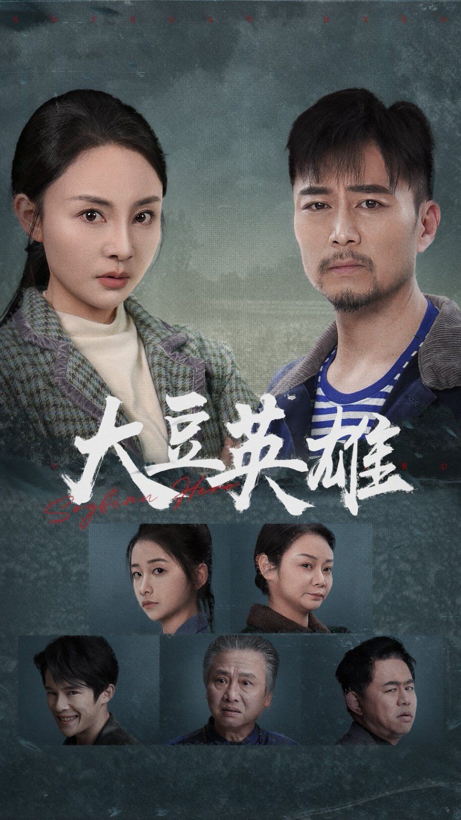 大豆英雄海报
