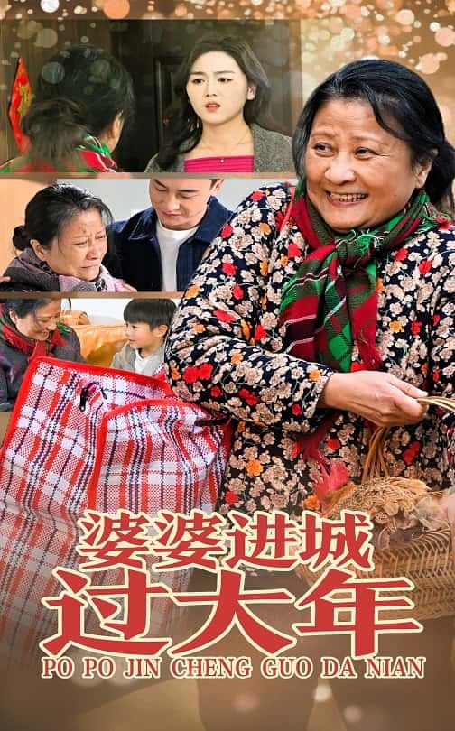 婆婆进城过大年海报