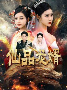 仙品龙婿海报