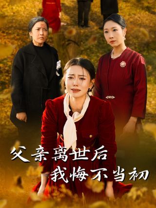 父亲离世后我悔不当初海报