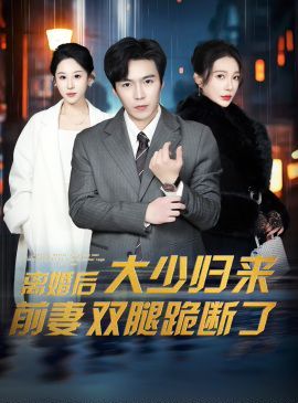 离婚后大少归来前妻双腿跪海报