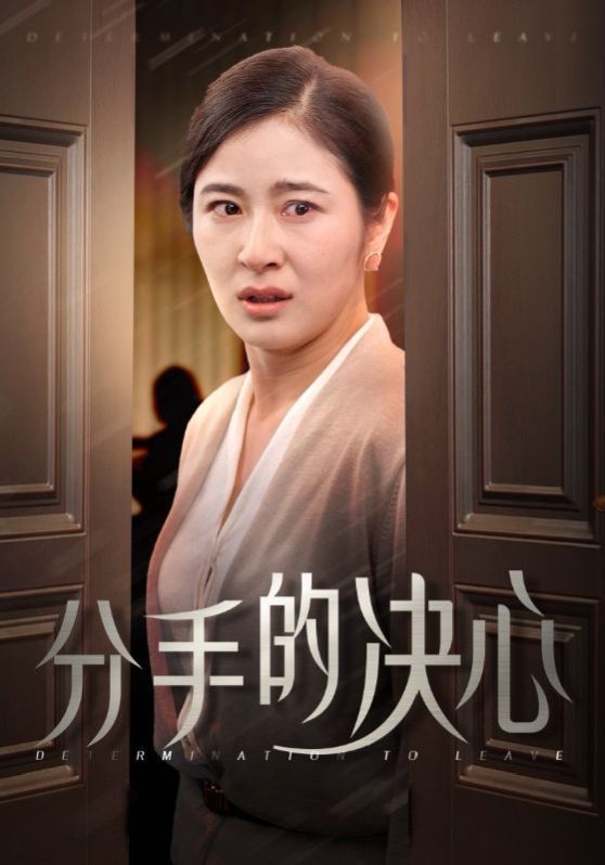 分手的决心海报